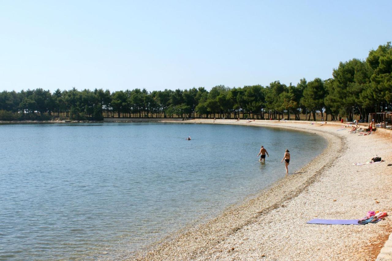 Apartments With A Swimming Pool Novigrad - 7078 Экстерьер фото
